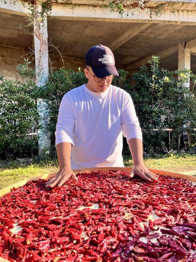 “红叶指南”迎来醉美秋色！杭州坐公交赏秋这么走