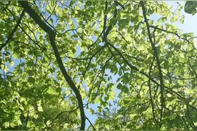 〖给予他人力量的朋友圈鼓励文案〗图片