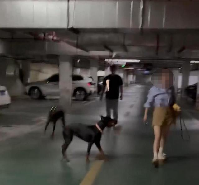 北京男子回家遇德牧拦路，报警反遭威胁，养狗大爷：拿刀砍你丫的