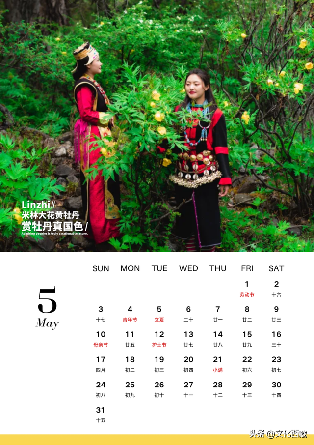 2026一起去西藏林芝！这个人生必去目的地，全年出游攻略请查收！