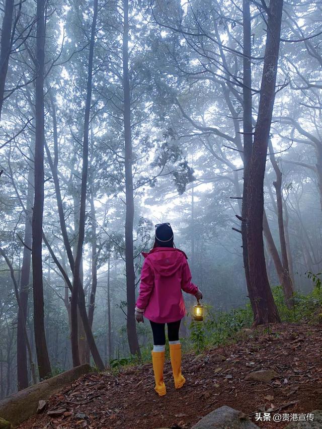 平天山美成了银装素裹的童话世界！贵港人：冷到发抖也要去