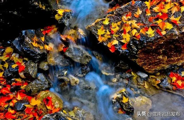 官鹅秋韵：在层林尽染中遇见“秋水天长”