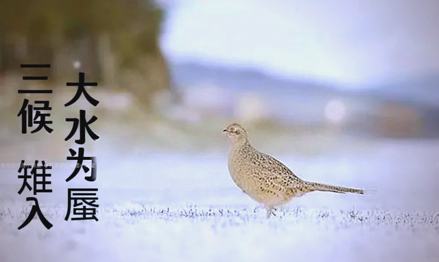 “上午立冬大雪封门，下午立冬单衣过冬”，今年立冬是什么时候？