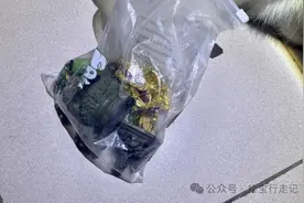 北京废品站“捡宝”， 一袋子物件，20件金饰品直接飘了图片