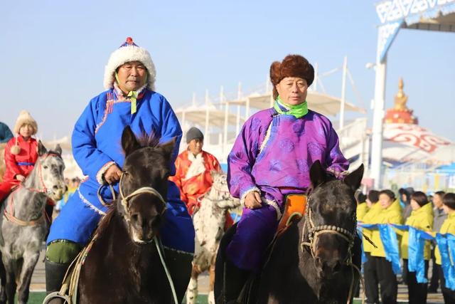 达茂旗这场活动不一般，一天之内八上央视！