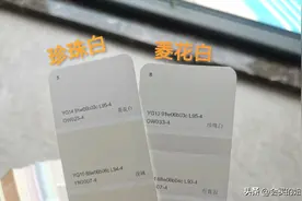 珍珠白和菱花白哪种好看？照这3条标准选，网红乳胶漆不会翻车！图片