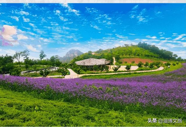 限时2月，门票仅需1.8元！为18岁的TA庆生