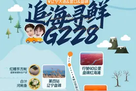 辽宁最鲜的自驾游路线，我提名G228！图片