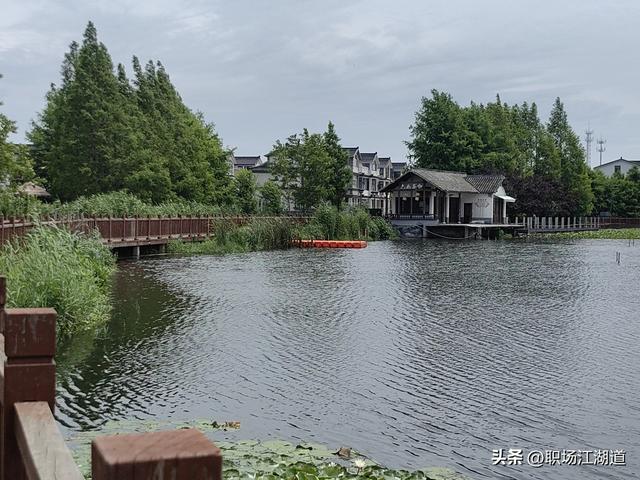 这个新村美得不像话！离上海只有一小时车程，去了还想去！