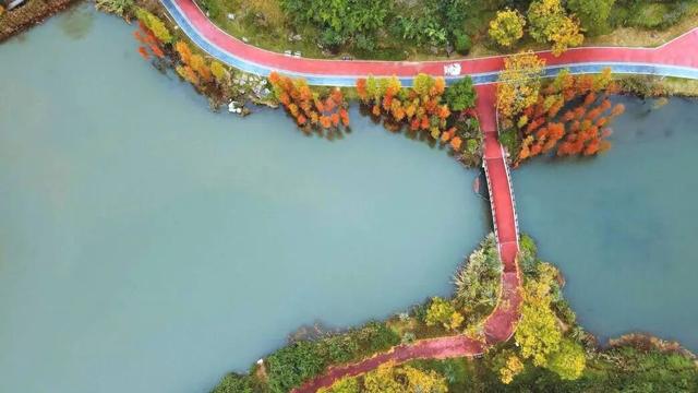 哇！金堂这里漂亮得不得了