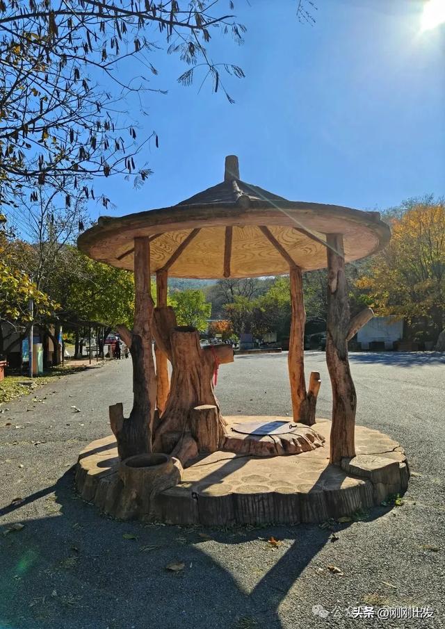 大连城山，挑战台阶之最，金龙寺森林公园风景太美了