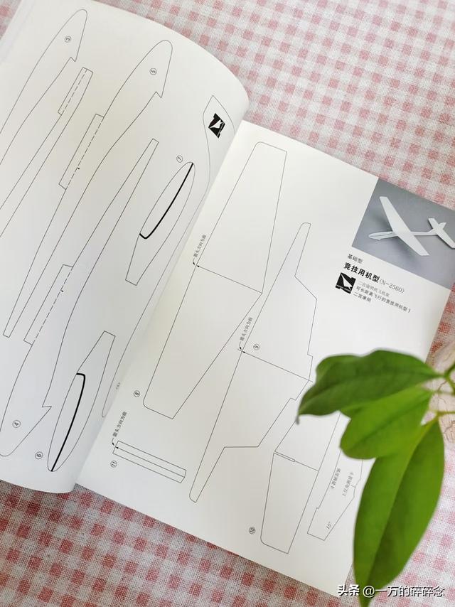 怎么投掷才能让纸飞机飞得更远？原来我们搞错了这么多年