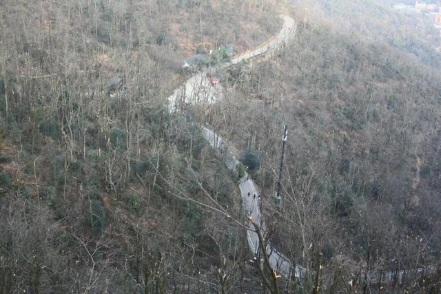 最爱岳麓山