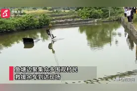 湖南“淡定哥”驾车冲入鱼塘双手插兜等救援：当时害怕极了图片