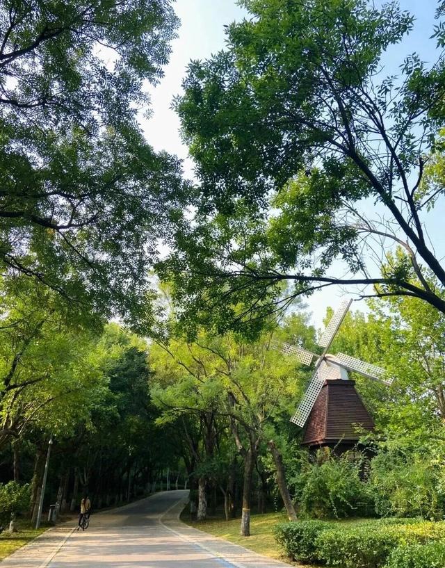 国庆来潍坊→6条宝藏线路让你双重快乐拉满～
