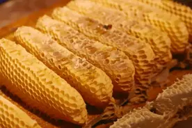 吴中特产甜蜜上市！今年价格看这里→图片