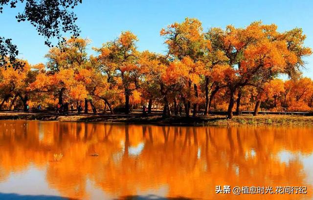 中国这15个地方，去过3个算你牛！去过5个，朋友圈可以横着走。