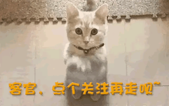 风流成性、挥霍无度，37岁“纵欲过度”的王思聪，再一次深陷丑闻