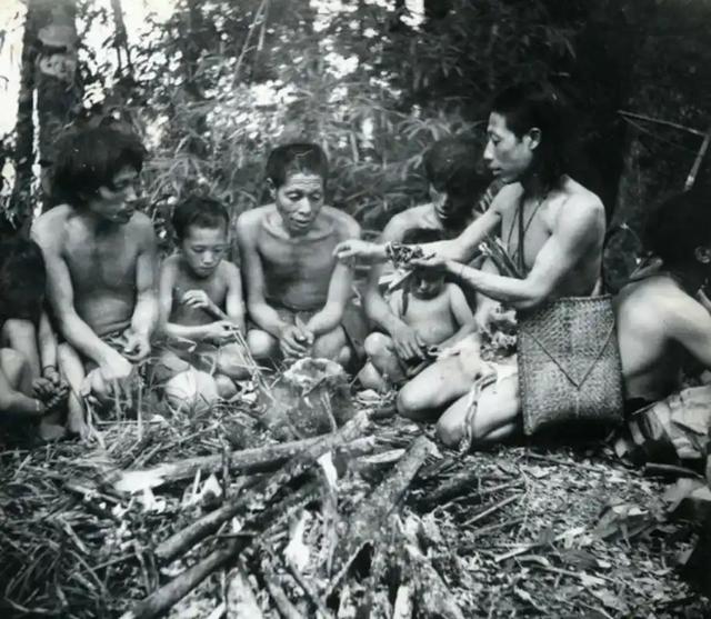 解放军在云南原始森林，发现一群男女，他们住草棚靠野果捕猎为生