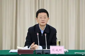 打虎！段成刚被查图片
