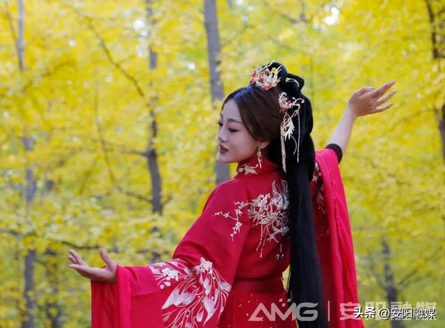 随手一拍都是大片!安阳深秋限定美景已上线→