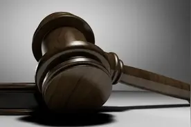 24年山东省法学录取全景透视，独家深度分析报告图片