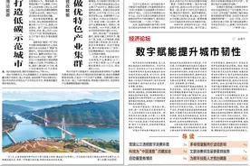 依托龙头带动 强化技改赋能 河北邢台做优特色产业集群图片