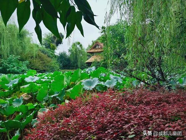 新都，被低估的好地方