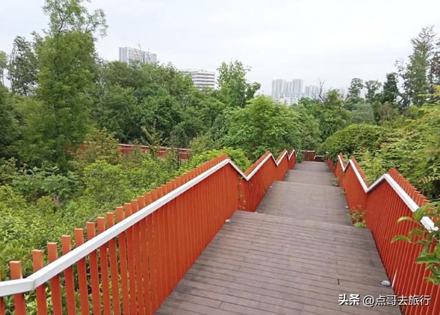 成都秋天最时髦户外活动，不久会火，这些地方都是捡秋的宝藏地