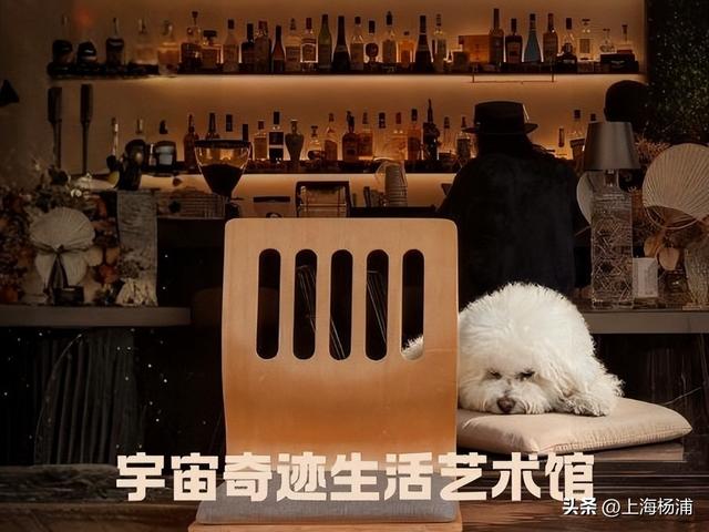 杨浦这些景点“限时优惠”，你去过几家？