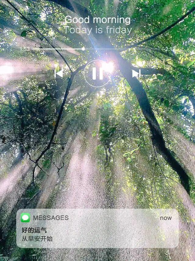 早安正能量简短励志句子， 风里有阳光的味道，今天也要元气满满呀