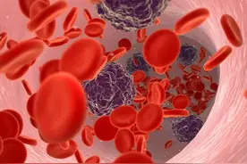 血液瘀堵生百病，5个活血化瘀中成药，保护血管，通畅血流：图片