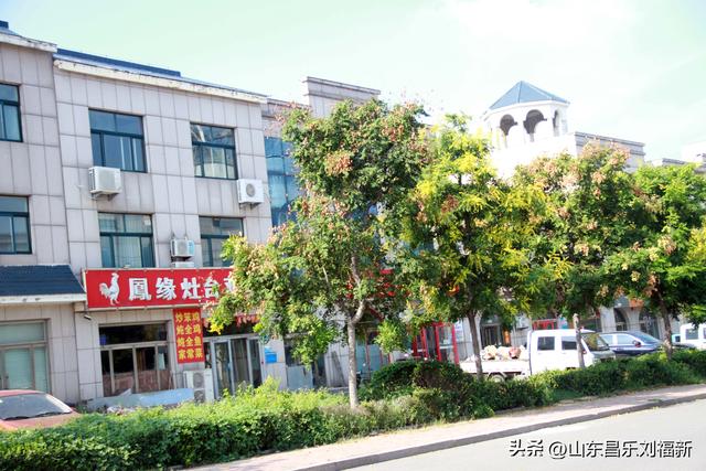 寻找南郝东西大街的“秀程大酒店”