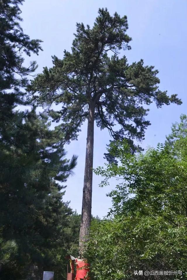 忻府区 庄磨镇、庄磨景、庄磨人！