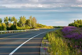 武汉这些道路有新进展了，看看有你家附近的吗？图片