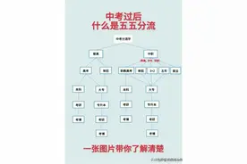 一张图带你了解，什么是五五分流，初三考不上，一样有书读。图片