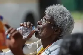 不出所料，印度首都新德里将不再适合人类居住！连蚊子都消失不见图片