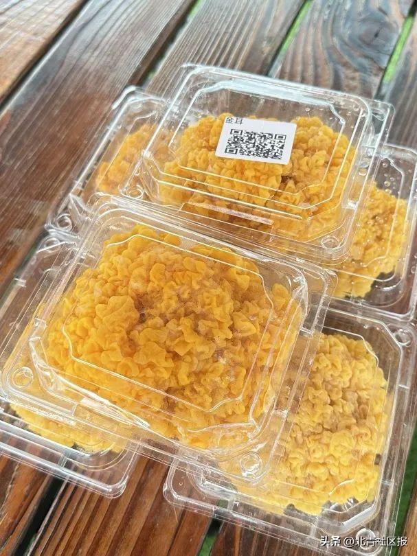 一“骑”出发吧！来打卡南口3家骑行驿站