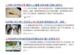 饲养宠物需负责，杜绝弃养是关键图片