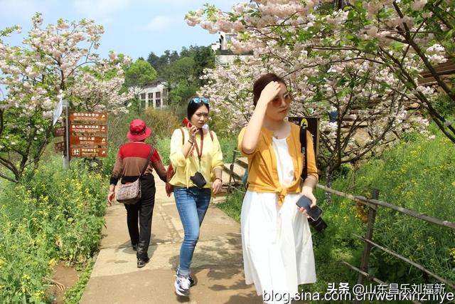 婺源篁岭旅游札记[三]（江西之旅第四十五篇）