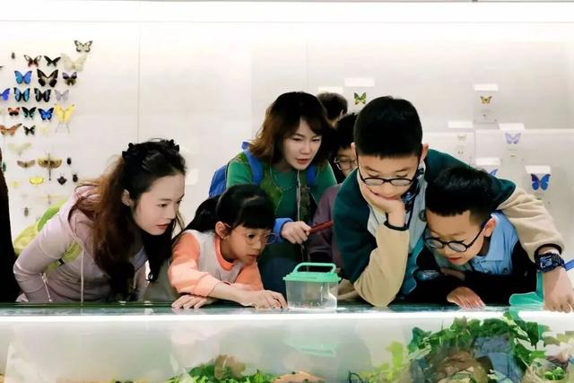 新津冬日徒步，看这里……