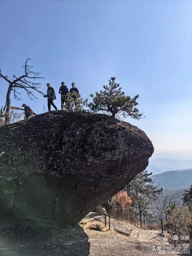 邂逅2026年的第一场醉美雾凇！温州四海山的雾凇美爆了！