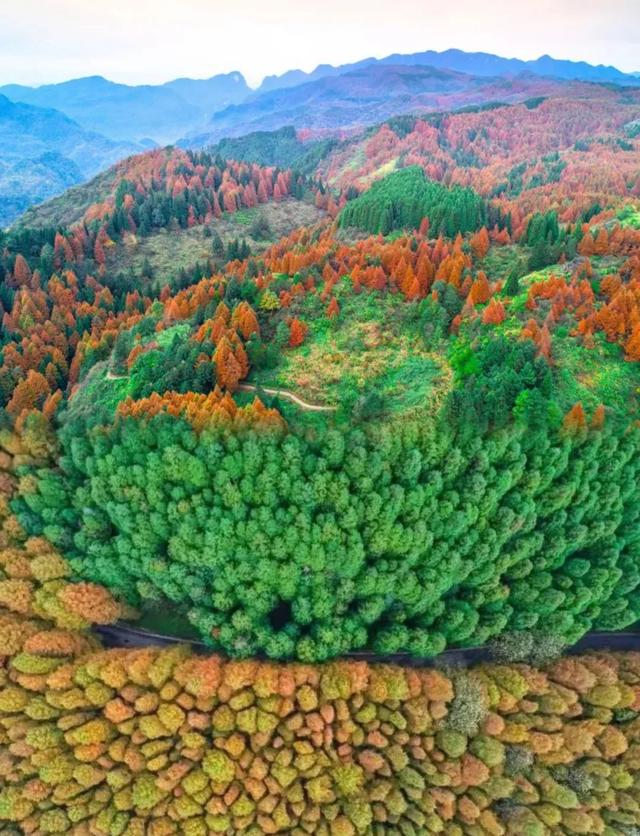 重庆贵州避暑穿越5日游,这条线路海拔1500+,藏着暑期清凉密码