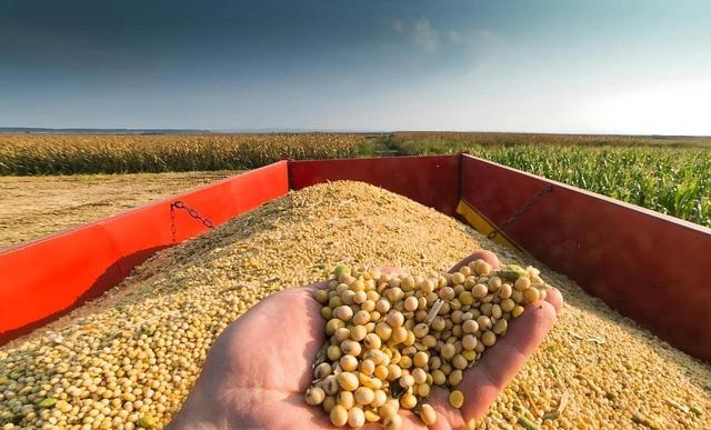 巴西大豆价格再上涨1.15%！中国买家按下暂停键，巴西大豆还买吗