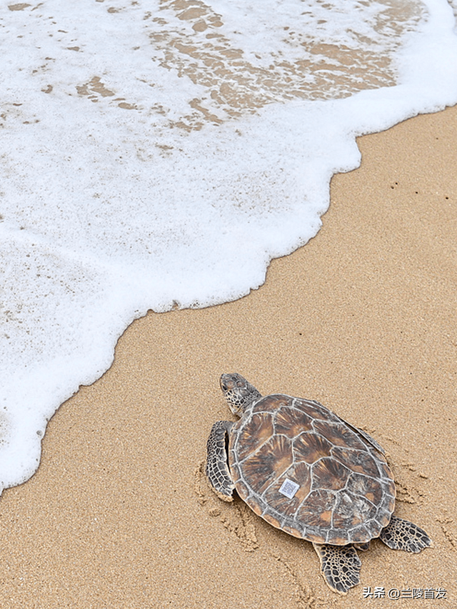 清明假期去这7座治愈小城（错过等一年）