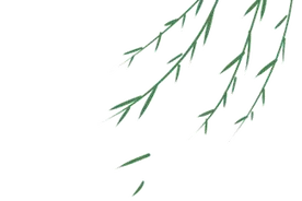 120个常用八字成语解析（一）图片