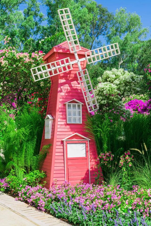 走！今天出发莲花山！拍“爆”20万㎡花海