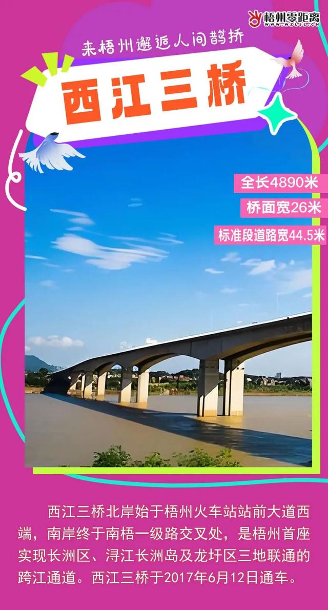七夕，来梧州邂逅人间鹊桥