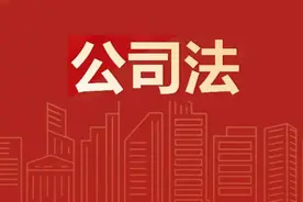 公司诉讼的基本类型图片