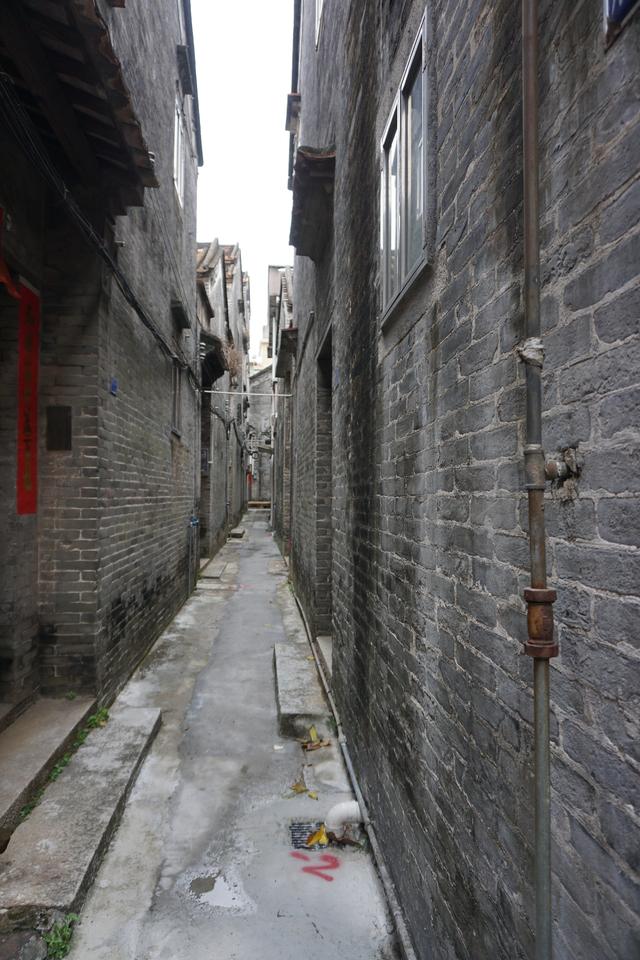 佛山真好逛——多彩的大墩村